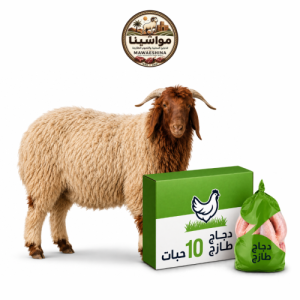 خروف نعيمي مع كرتونة دجاج