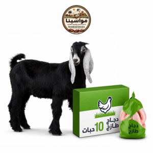 تيس محلي مع كرتونة دجاج