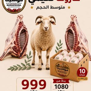 خاروف نعيمي مع كرتونة دجاج