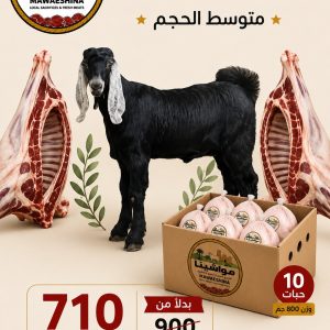 تيس محلي مع كرتونة دجاج
